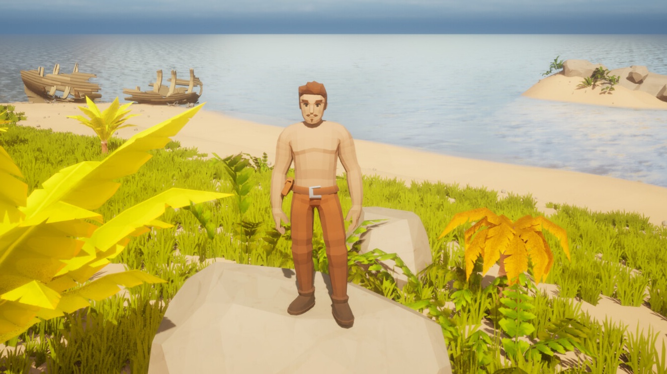 Coco Island